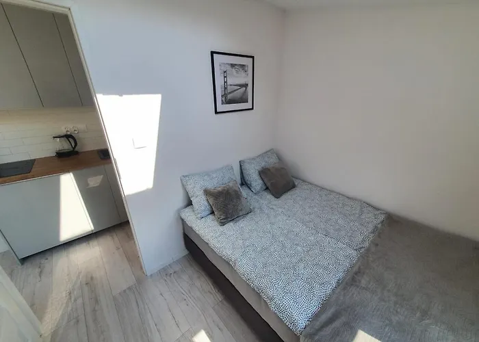 Stayinpoznan Koziolki View!! Air Conditioning, Internet, Tv, 4 Pietro - Brak Windy Poznaň